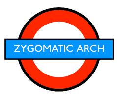 zygomaticarch